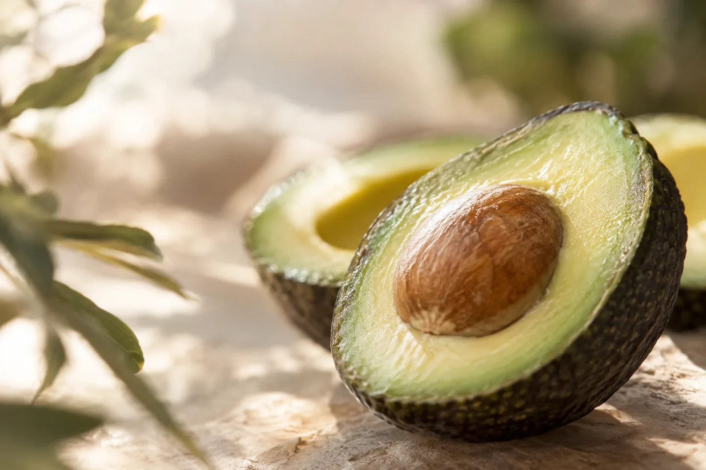 Nahaufnahme der Pflanzenquelle für Avocadoöl
