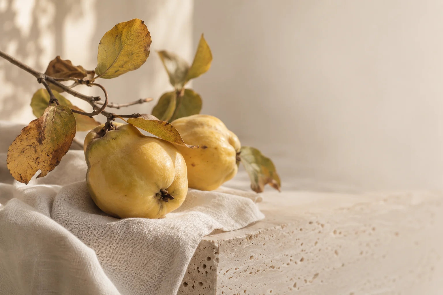 Herbstliche Quitten und ein feiner Zweig auf hellem Leinen